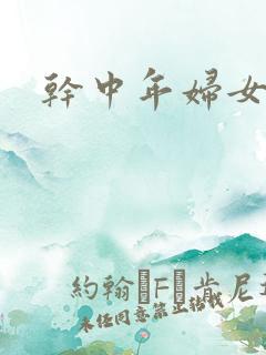 干中年妇女小说