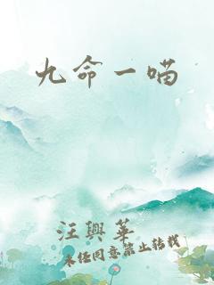 九命一喵