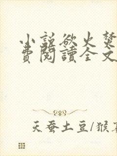 小说欲火焚烧免费阅读全文