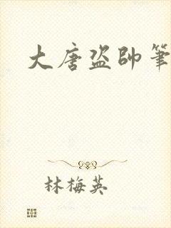 大唐盗帅笔趣阁
