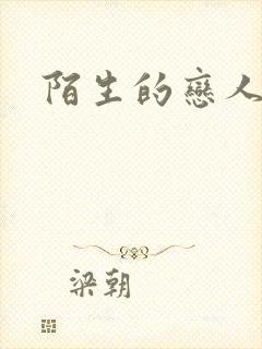 陌生的恋人小说