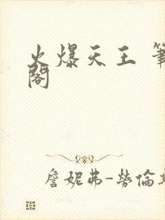 火爆天王 笔趣阁