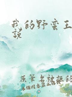 我的野蛮王妃小说
