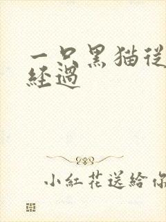 一只黑猫从眼前经过