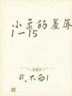 小柔的羞辱日记1一15