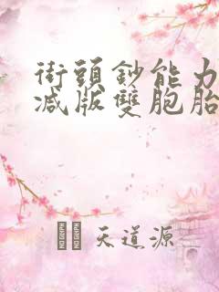 街头钞能力无删减版双胞胎