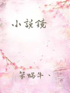 小说镜