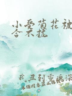 小受菊花被双龙合不拢