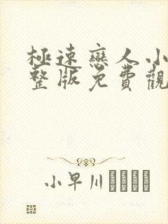 极速恋人小说完整版免费观看