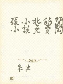 张小北的开光师小说免费阅读怎么没有276章