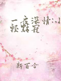 一夜深情:小叔轻点宠