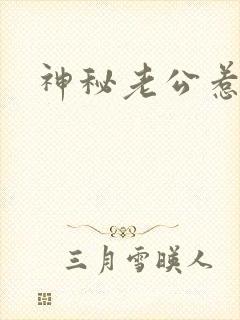 神秘老公惹不起