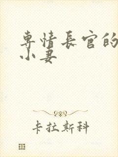 专情长官的天价小妻