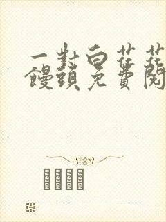 一对白花花的大馒头免费阅读