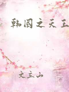 韩国之天王