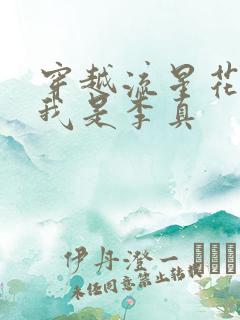 穿越流星花园之我是李真