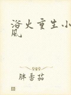 浴火重生小说陈风