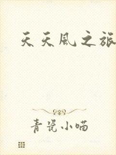 天天风之旅辅助