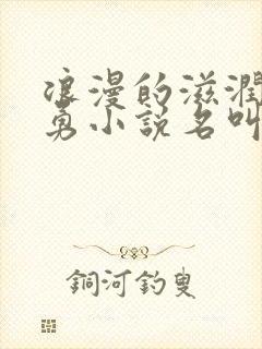 浪漫的滋润刘大勇小说名叫什么?