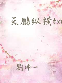 天鹏纵横txt