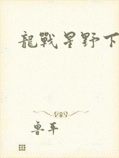 龙战星野下载