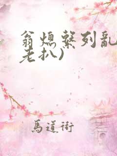 翁熄系列乱 (老扒)