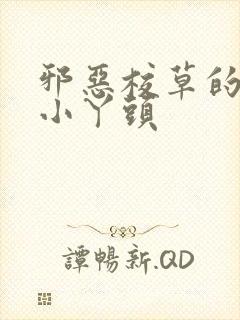 邪恶校草的拽拽小丫头