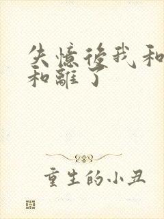 失忆后我和王爷和离了