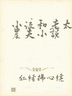 小流和老太69农夫小说