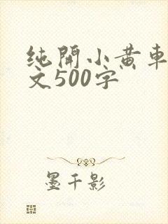 纯开小黄车小短文500字