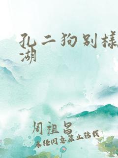 孔二狗别样的江湖