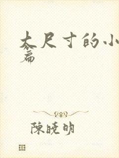 大尺寸的小说短篇