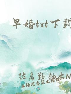 早婚txt下载