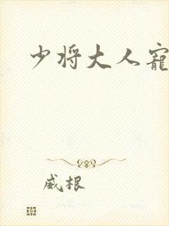 少将大人宠宠我