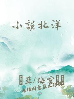 小说北洋