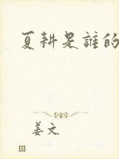 夏耕是谁的女婿