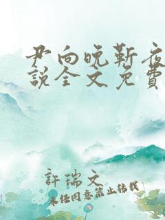 尹向晚靳夜擎小说全文免费阅读无弹窗