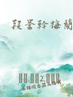 段誉干梅兰竹菊