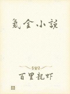 氪金小说