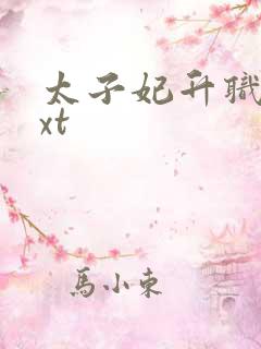 太子妃升职记txt