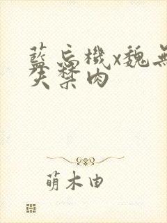 蓝忘机x魏无羡失禁肉