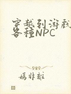 穿越到游戏里和各种NPC