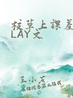 校草上课羞耻PLAY文