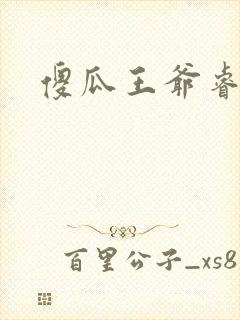 傻瓜王爷睿智妃