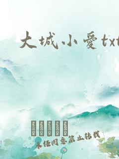 大城小爱txt