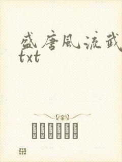 盛唐风流武状元txt