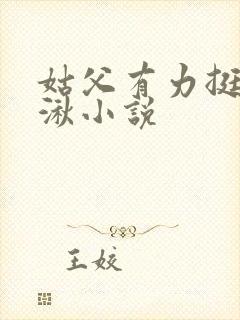 姑父有力挺送徐湫小说