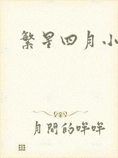 繁星四月小说