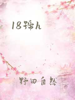 18号h