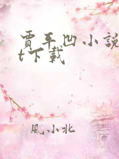 贾平凹小说txt下载